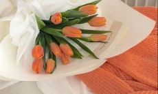 极富启发力与灵感的青春励志句子，让你激发潜力、展现实力！