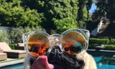 尽情享受的搞笑文本：包含大量令人捧腹的段子和短句！