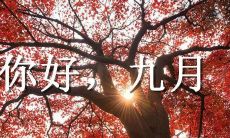 九月，我希望你能够给我留下美好记忆——关于待遇、生活、爱情和成长的分享