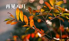 分享 | 回顾八月最后一天的内心感受及图片回忆