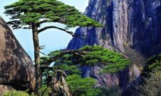 如何在结束了长假后，通过短信向年长的亲友发送关心与问候？