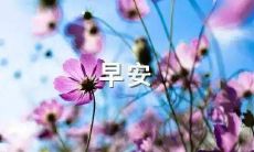 如何用简短一句话表达早安问候语？