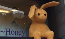 隔着屏幕，孤独地打着字，传达着心底的辛酸与苦涩：一个令人心碎的视觉描绘