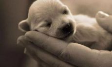 通过干净、感性、治愈的短句，打造贴近人心的文案创意