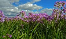 向家具顾客发送问候短信，提高客户满意度