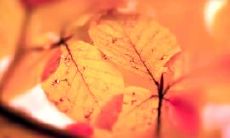 如何用一条温暖的问候短信让生病的女朋友感受到你的关爱？