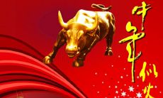 2021牛年春联全集：包含各式各样的对联，配有搭配精美的横批，让你在新春佳节里与亲朋好友一起分享美好的祝愿与祝福！