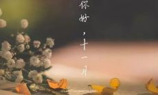 十一月欢迎你，让我们共同来分享今日经典而有意义的早安说说！