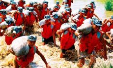 赞美抗洪壮举的吟诗歌颂，对勇士的无私奉献进行赞颂，以振奋亡羊补牢的精神来填补鸿沟，加深人们对自然灾害的认识，共同呼吁保护环境，让人们更加爱惜生态环境