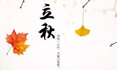 立秋的唯美句子、图片