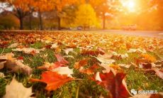 天气慢慢变了问候短信