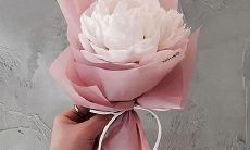 发给女友搞笑的关心问候短信