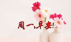 周一早安心语正能量一句话