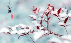 大寒时节的诗句
